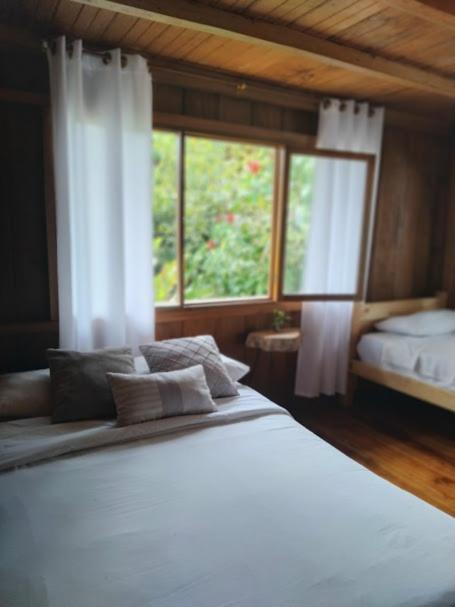 The Temple Iii, Mindo Hotel Exterior photo
